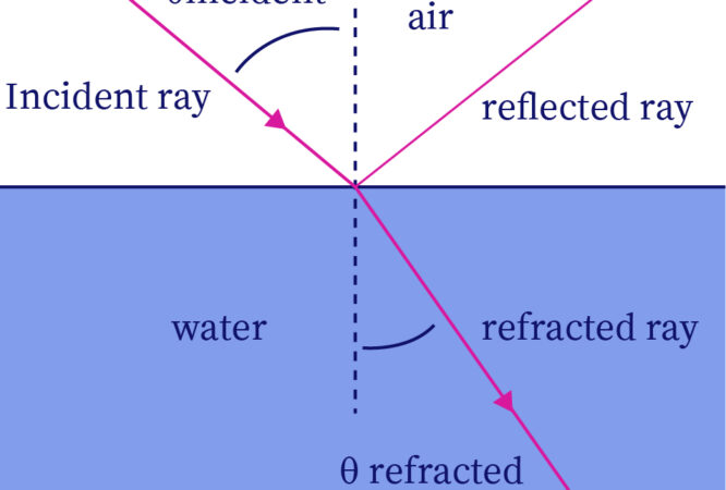 light-ref